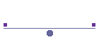 Polish Connection